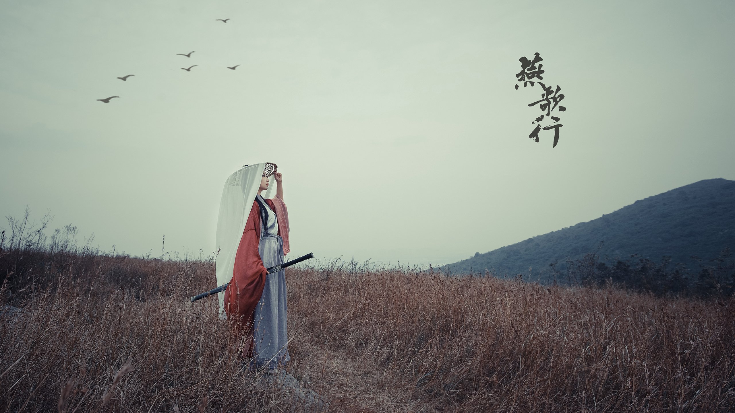 “战术大碰撞：教练如何调兵遣将扭转乾坤？”，教练战术板下载