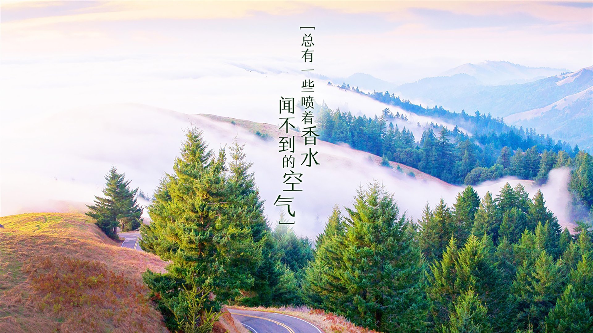 【AI教练的崛起】未来赛场，机器做战术分析还是运动员的主心骨？