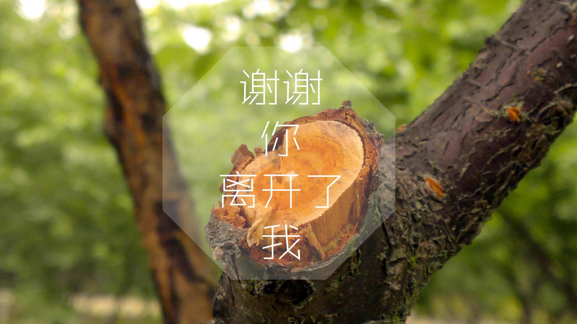 青训优秀作品频频获奖，推动青少年运动教育不断创新，青少年运动培训