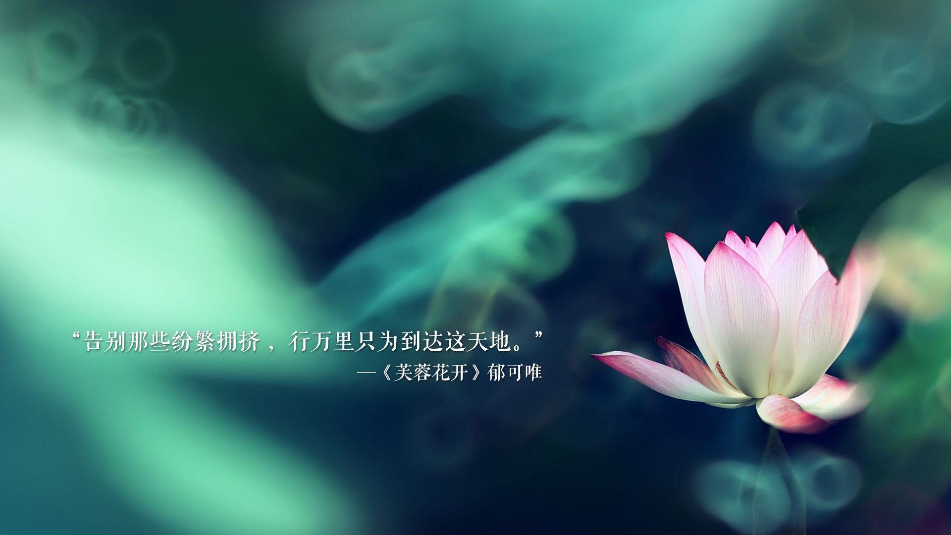 列支敦士登主场告捷，跻身小组前列，列支敦士登照片