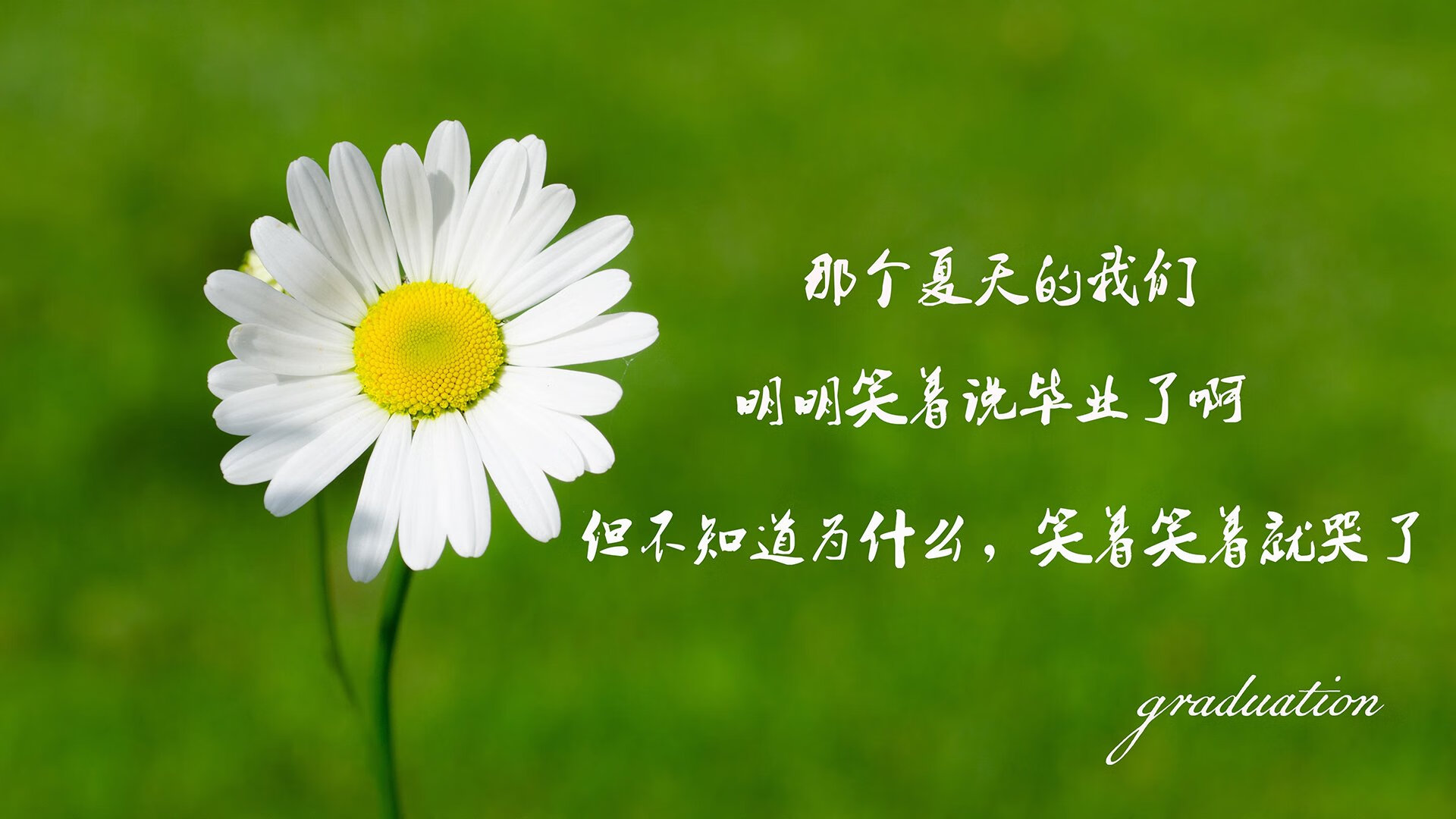 转会窗快讯：各大豪门争夺顶级前锋，2021豪门转会