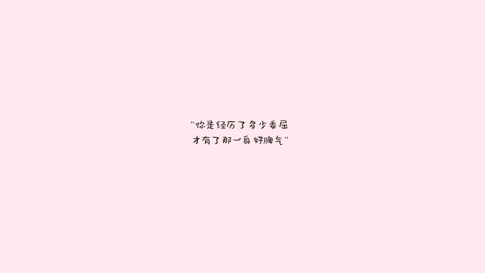 体育新闻中心开展体育赛事直播技术培训计划，体育直播工作