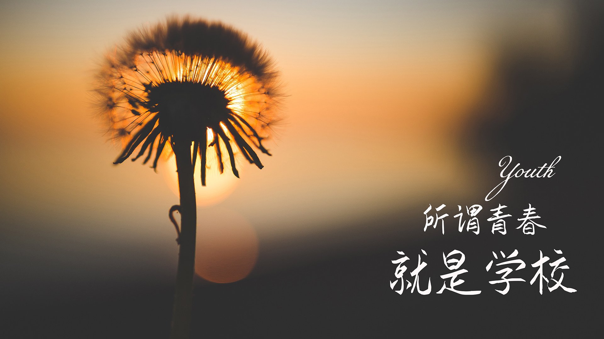 朱婷代言广告大片上线引热议，朱婷新代言